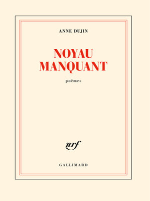 cover image of Noyau manquant